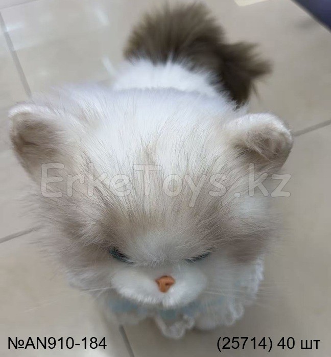 картинка Мягкая игрушка Котенок от магазина Игрушек