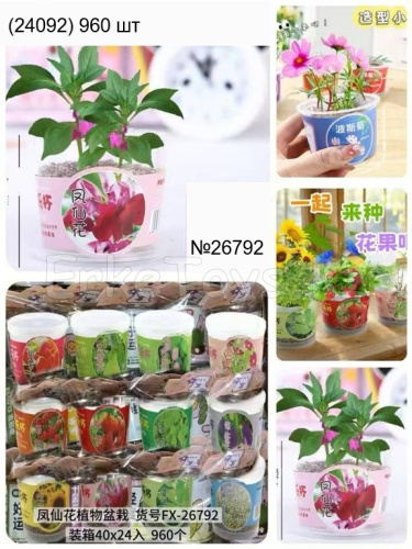 картинка Набор для выращивания растений 24 шт в уп от магазина Игрушек